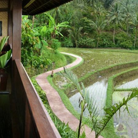 Bali Eco Stay Ngoại thất bức ảnh