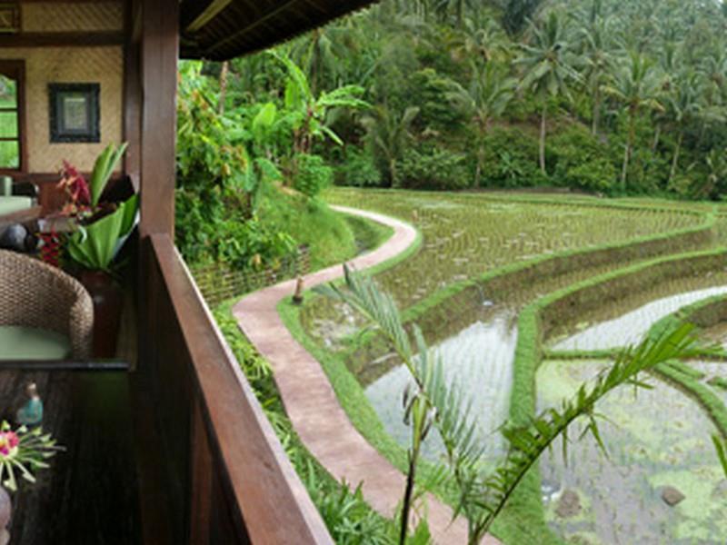 Bali Eco Stay Ngoại thất bức ảnh