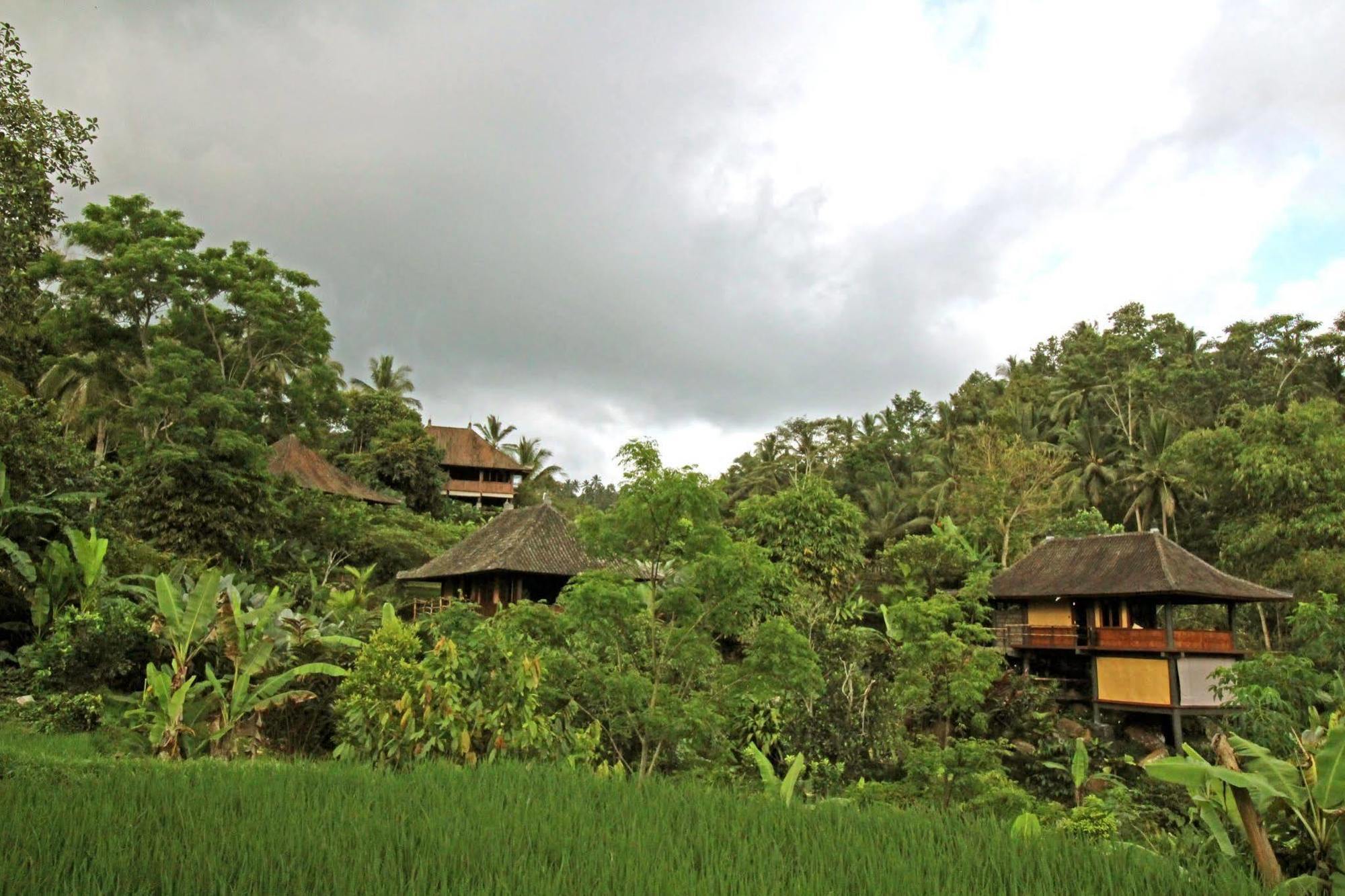 Bali Eco Stay Ngoại thất bức ảnh